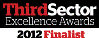 Third Sector Finalist 2013 Logo