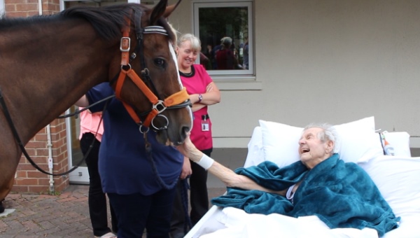 Horse visits Patrick on Bedded Unit