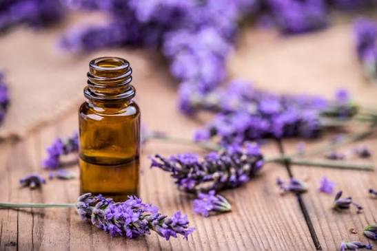 SC Lavender Oil