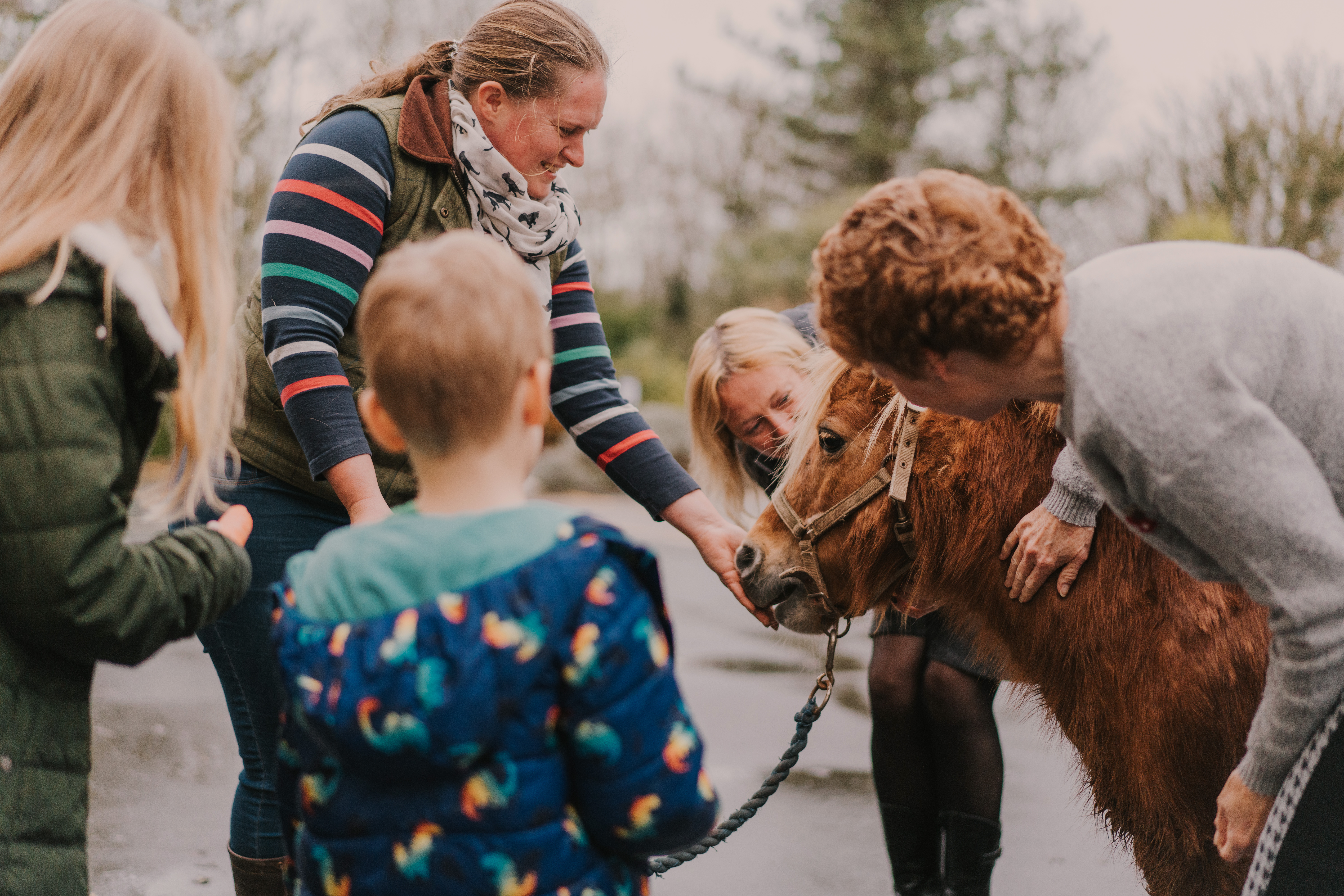 Two children and two female adults feeding carrots to a brown miniature pony