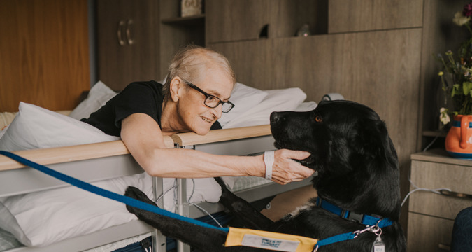 Female patient leading over the side of a hospital bed to stroke a large, black therapy dog with a blue lead